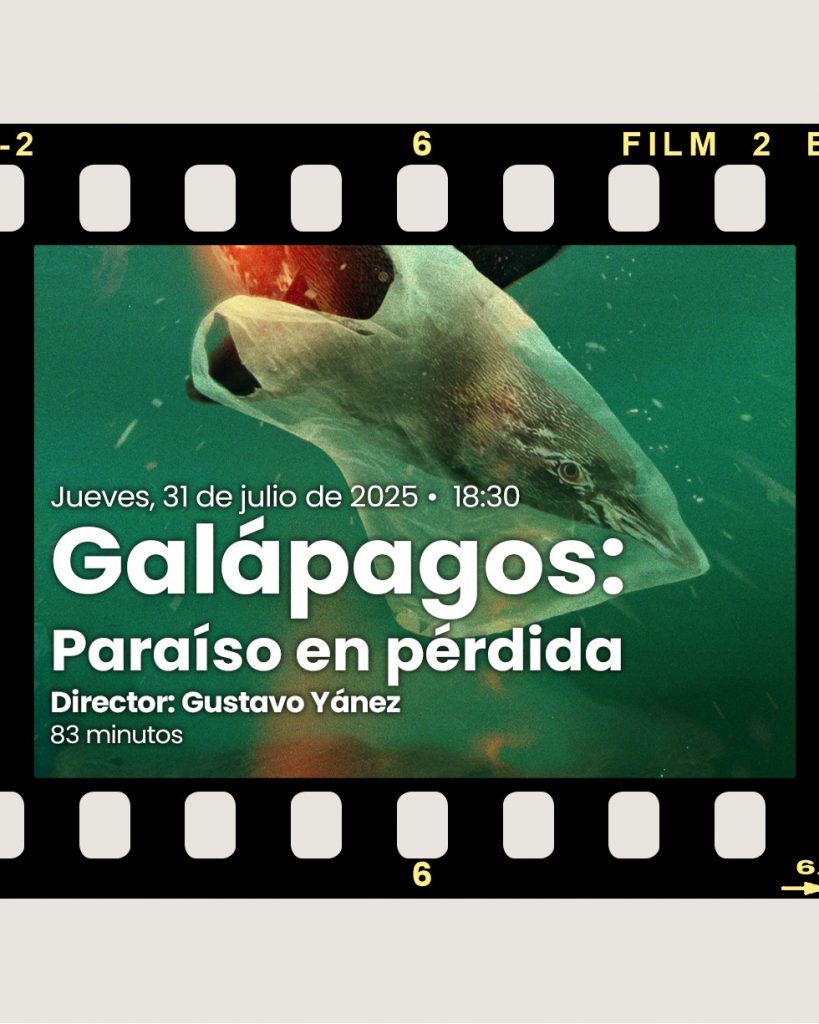 imagen destacada